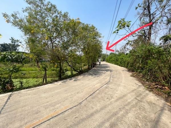 ขายที่ดิน 5-2-75 ไร่ ซอยบางกร่าง 59/6 เดินทางสะดวกทั้งทาง ถ.ราชพฤกษ์ และ ถ.บางกรวย-ไทรน้อยเมืองนนทบุรี